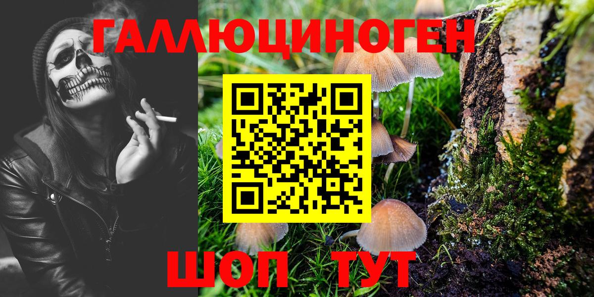 Псилоцибиновые грибы ЛСД Кандалакша